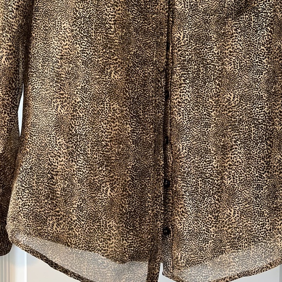 Sheer Leopard Print Long Sleeve Button Up Top - Picture 2 of 5